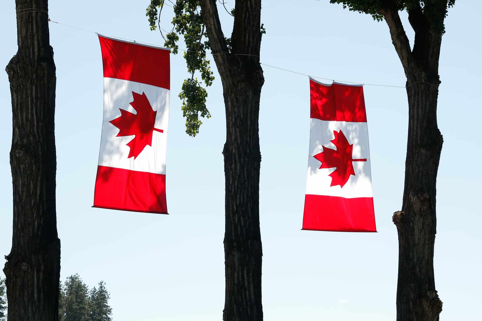 Is Keanu Reeves Canadian?