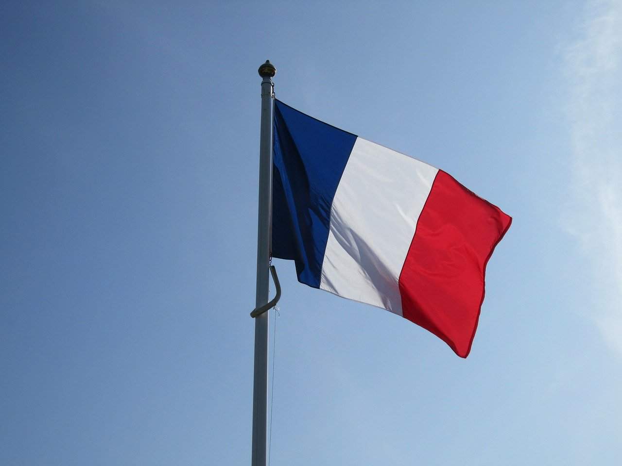 Does Elon Musk Speak French?