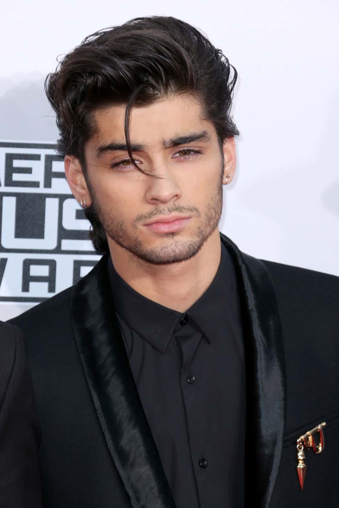 How Many Octaves Does Zayn Malik Have 