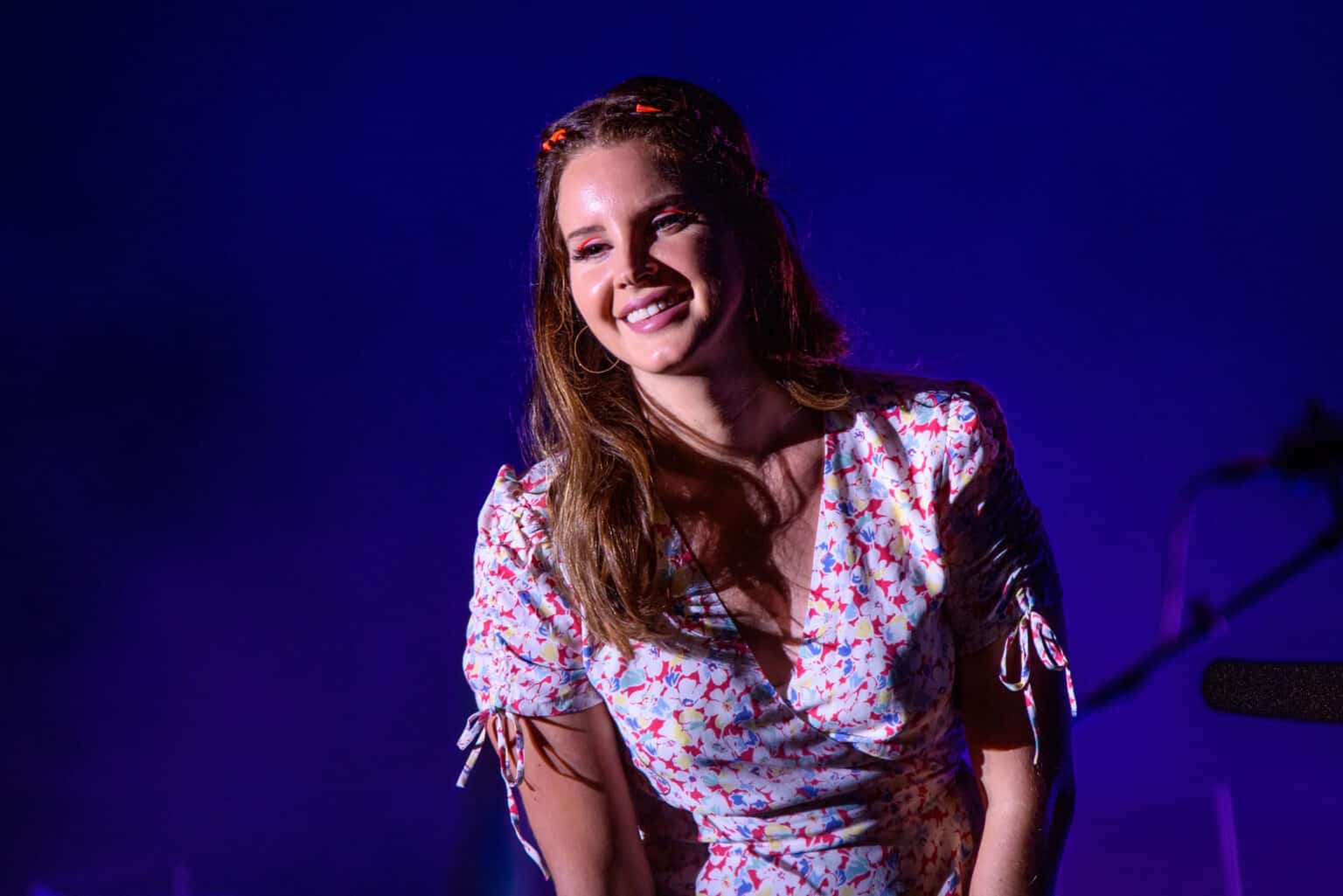 Does Lana Del Rey Write Her Own Music: Complete Guide & Key Details