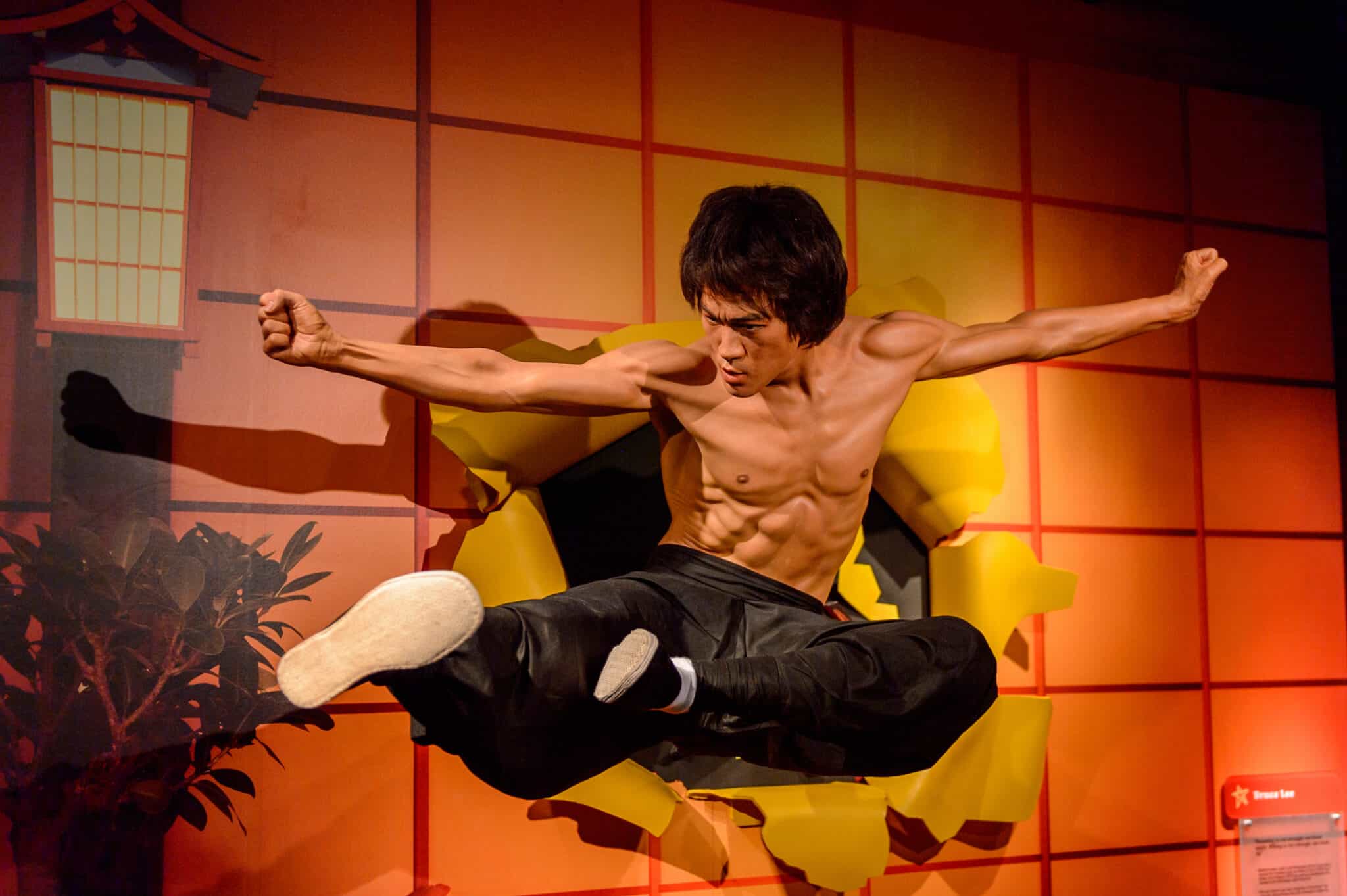 How Did Bruce Lee Break His Back