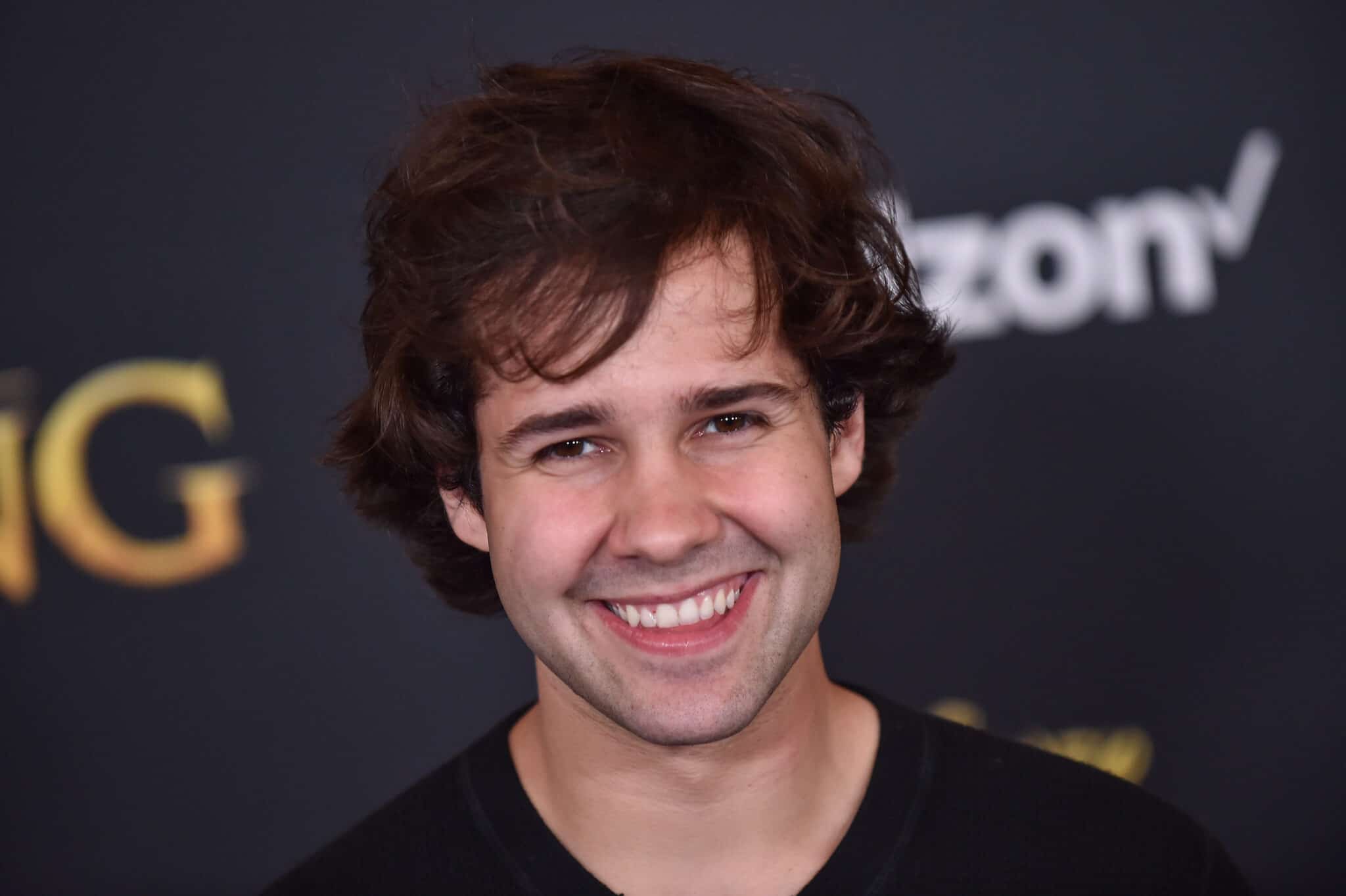 How Much Does David Dobrik Make a Year?