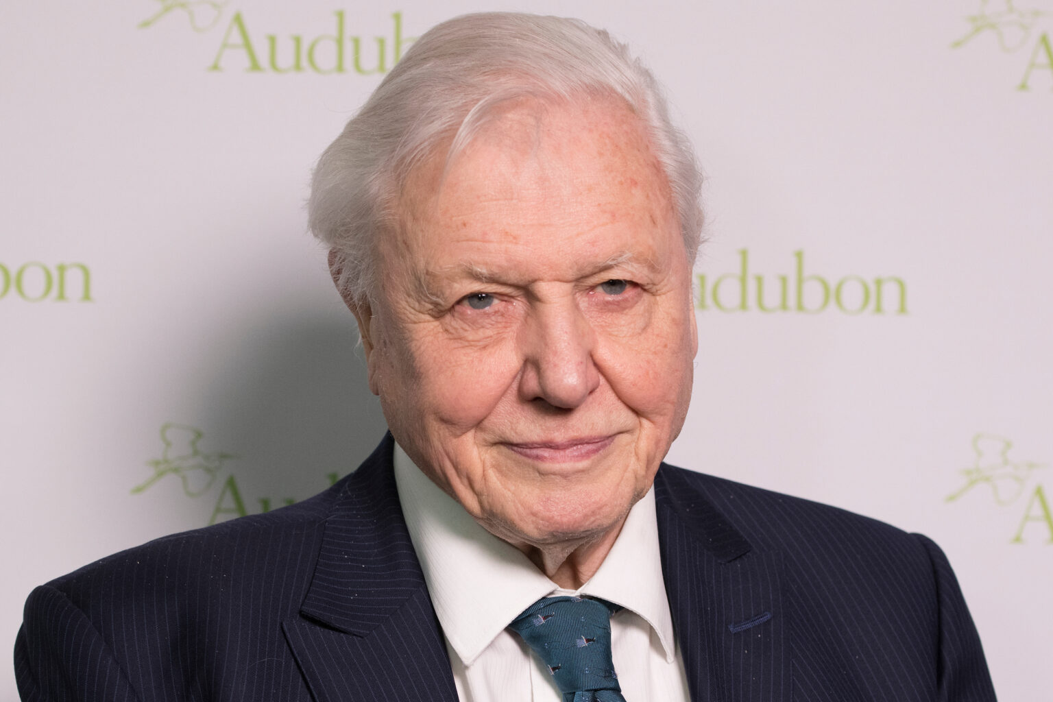 Where Does David Attenborough Live?