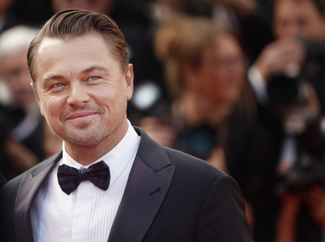 Does Leonardo Dicaprio Have A Private Jet 