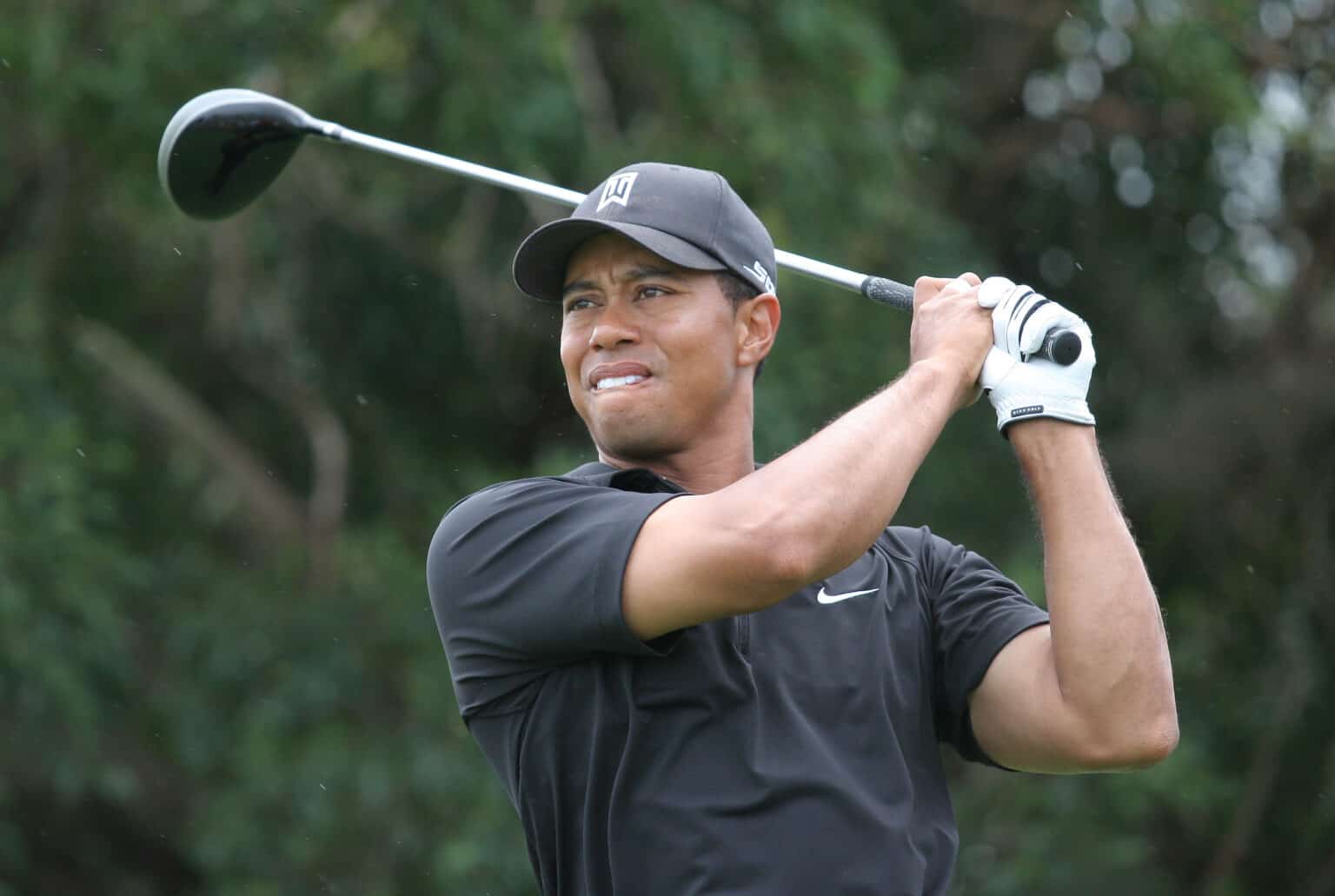 What Driver Does Tiger Woods Use?
